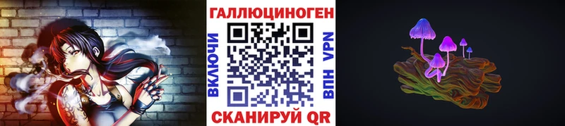 купить наркотик  Кириши  Псилоцибиновые грибы GOLDEN TEACHER 