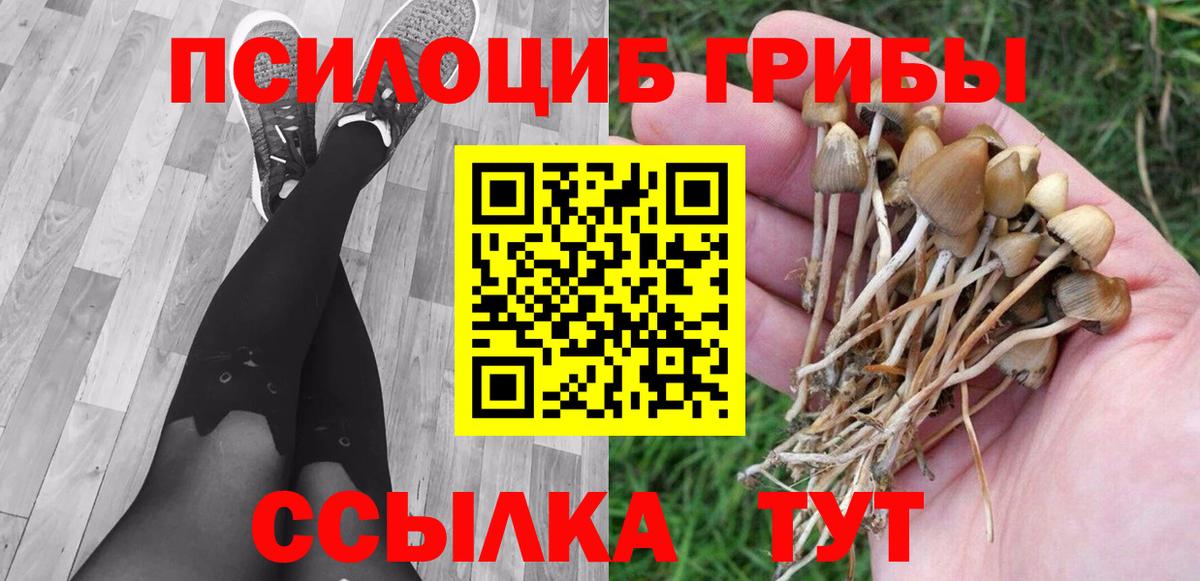 Галлюциногенные грибы прущие грибы  Псилоцибиновые грибы Magic Shrooms  Вход с VPN  Кириши 