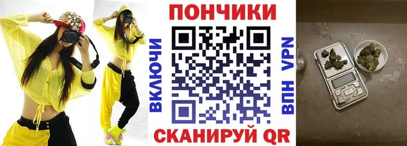 Бошки Шишки семена  Кириши 