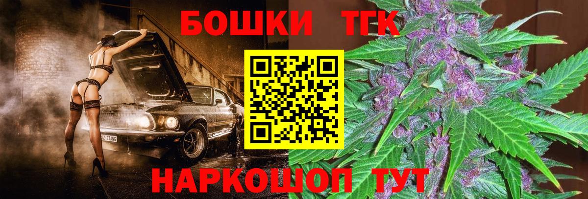 Бошки Шишки планчик Кириши